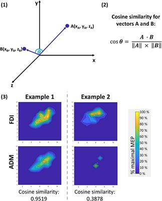 No evidence for a difference in lateralization and distinctiveness level of transcranial magnetic stimulation-derived cortical motor representations over the adult lifespan